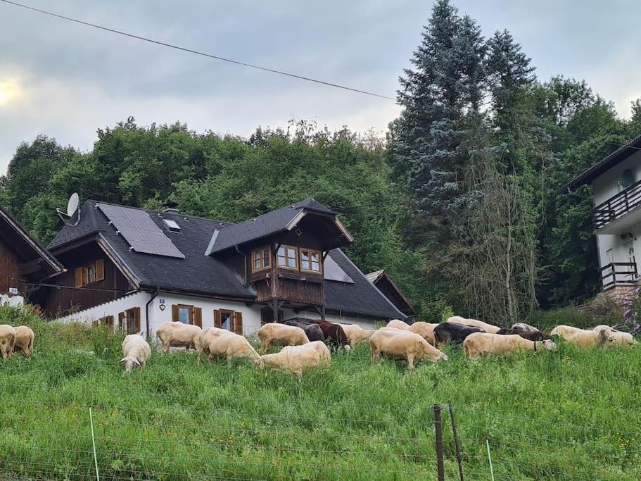 Ferienhaus Beringer Am Kallbach 特劳恩基兴 外观 照片