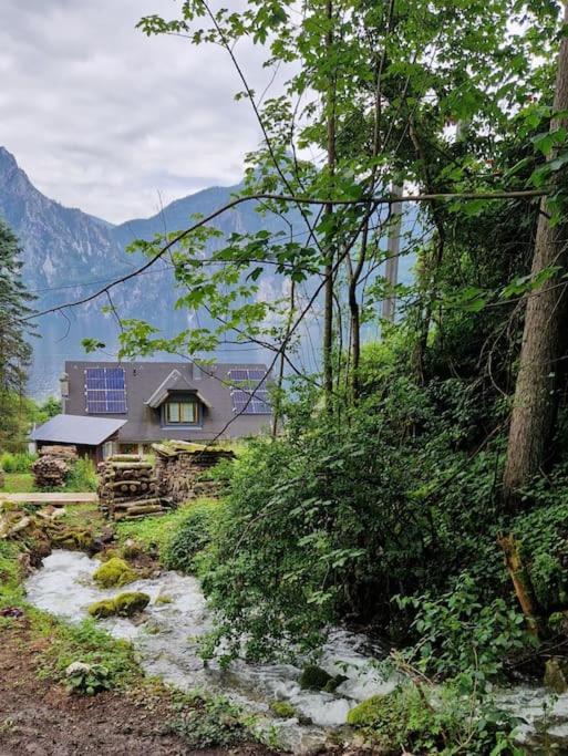 Ferienhaus Beringer Am Kallbach 特劳恩基兴 外观 照片